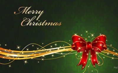 2016 Year End Report