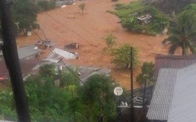 Food for Freetown (Follow Up)