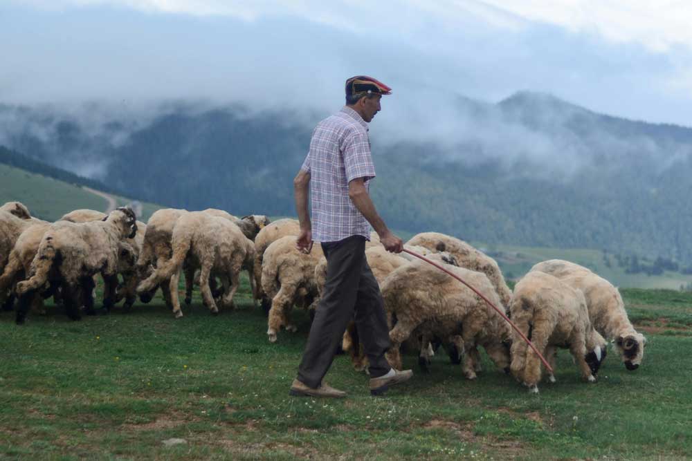 Exploring God's Word